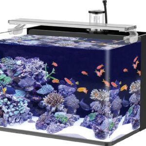 аквариум морской  30л , 380х300х280, (готовый комплект)