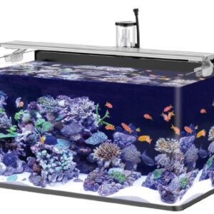 аквариум морской  40л , 480х300х280, (готовый комплект)